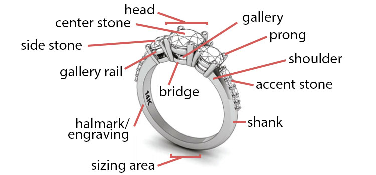 Anatomy-Ring1